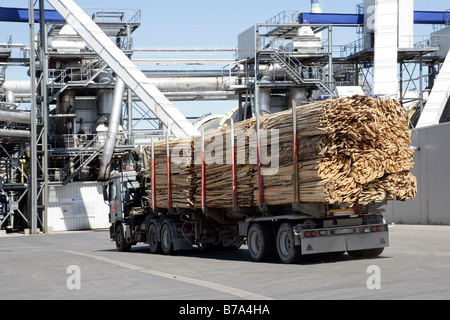 Holz Lieferung für die Herstellung von Spanplatten oder Spanplatten, Produktionsstandort der Pfleiderer AG in Neumarkt, Bayern, G Stockfoto