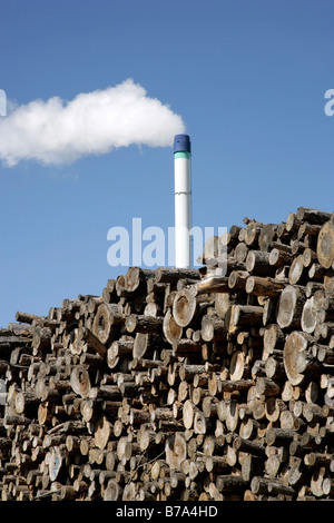 Holz gelagert bereit für die Herstellung von Spanplatten oder Spanplatten, Produktionsstandort der Pfleiderer AG in Neumarkt, Bavari Stockfoto