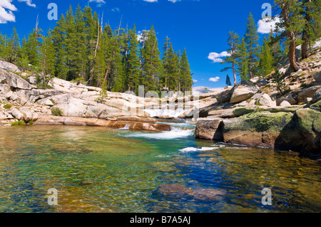 Die Tuolumne River Tuolumne Meadows Bereich Yosemite National Park in Kalifornien Stockfoto