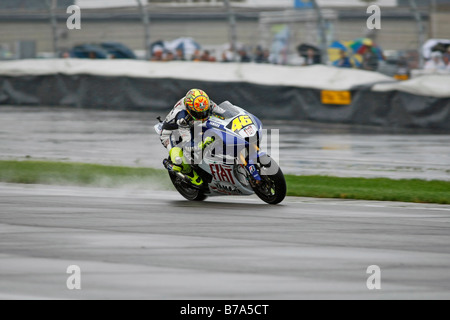 Rossi während einer nassen Praxis. Stockfoto