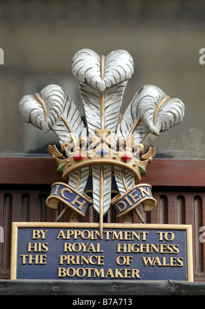 Empfehlung im Schaufenster des königlichen Schuhmacher John Lobb in London, England, Großbritannien, Europa Stockfoto