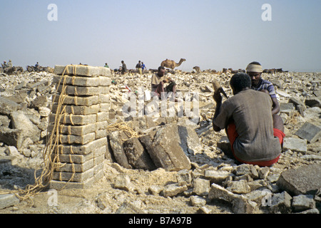 Afar Männer arbeiten in einem Salzbergwerk Grube auf der Danakil-Senke Stockfoto