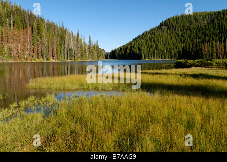 Devils Lake, Cascade Lakes National Scenic Byway, Kaskade-Strecke, Oregon, USA Stockfoto