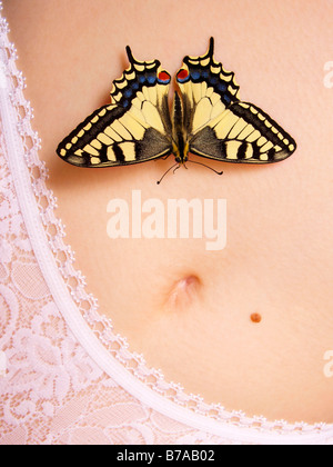 Alten Welt Schwalbenschwanz (Papilio Machaon) auf Frauen Bauch Stockfoto