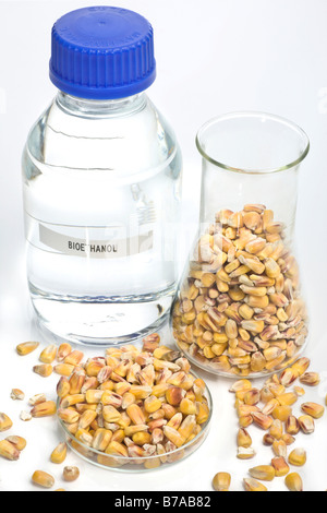 Bioethanol aus Bioethanol-Anlage mit unverarbeiteten Mais Stockfoto