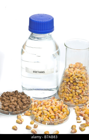 Bioethanol und Lebensmittel aus Bioethanol-Anlage mit unverarbeiteten Mais Stockfoto
