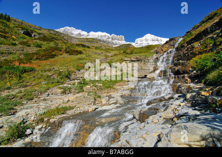 Wasserfall am Logan Pass, Hauptattraktion des Glacier National Park, Montana, USA, Nordamerika Stockfoto