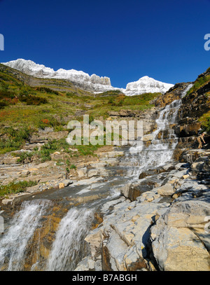 Wasserfall am Logan Pass, Hauptattraktion des Glacier National Park, Montana, USA, Nordamerika Stockfoto