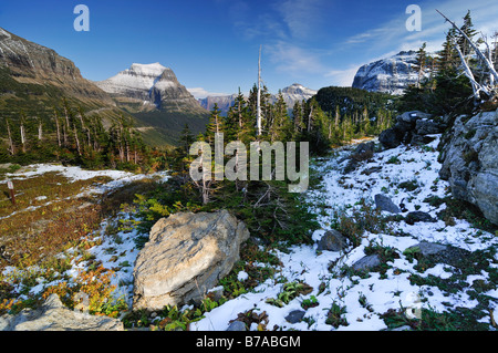 Logan Pass, Hauptattraktion des Glacier National Park, Montana, USA, Nordamerika Stockfoto