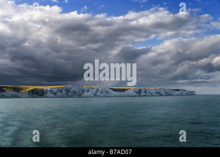 Kreidefelsen in der Nähe von Dover, Kent, England, Großbritannien, Europa Stockfoto