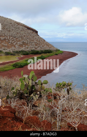 Blick auf den roten Sand Strand Insel Rabida, Galapagos-Inseln, Ecuador, Südamerika Stockfoto