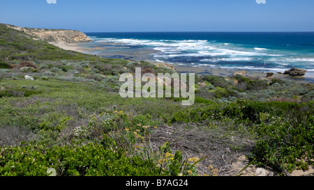 Cheviot Beach, Point Nepean Nationalpark, Australien Stockfoto