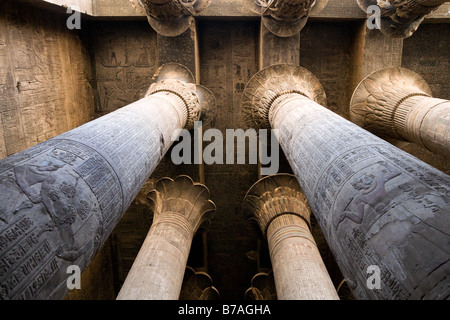 Suchen bis unter die Decke durch die Spalten in der Säulenhalle an der Tempel des Chnum in Esna, Ägypten Stockfoto