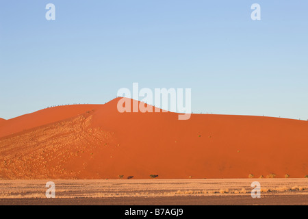 Menschen klettern eine der roten Dünen im Sossusvlei, Namibia Stockfoto