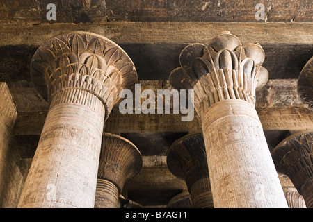 Spalten in der Säulenhalle im Tempel des Chnum in Esna, Ägypten Stockfoto