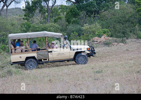 Touristen-Tierbeobachtungen von Fahrzeugen Masai Mara Nord Reserve Kenia Stockfoto
