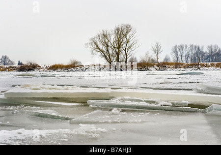 Eisscholle Eisschollen eingefroren Naturlandschaft landen Donau Donau Fluss Banken Winter Winter weißen Schnee Eis eisig kalt werden kaltes Wasser Bäume Stockfoto