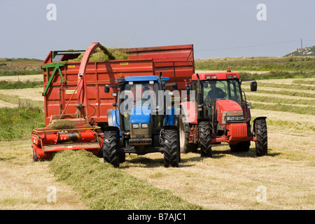 Traktoren Silageherstellung in Cornish Milchviehbetrieb in der Nähe von Zennor Dorf Stockfoto