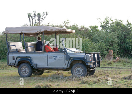 Touristen-Tierbeobachtungen von Fahrzeugen Masai Mara Nord Reserve Kenia Stockfoto
