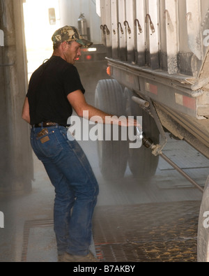 Ein Korn-LKW-Treiber arbeitet, um Weizen in einem Getreidesilo während der Ernte in der Palouse Region Washington entladen Stockfoto