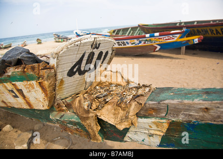 Eine Charge von Fisch ist zum Trocknen auf eines der bunt bemalten Fischerboote, die den Strand Yoff, Senegal säumen angelegt Stockfoto