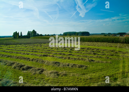 Polygon-Wood-Friedhof, Buttes Friedhof und Tyne Cot Friedhof in der Nähe von Ypern in Belgien. Berühmte WW1 Kampfszenen und schwere Yards. Stockfoto