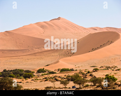 Namib-Wüste Stockfoto