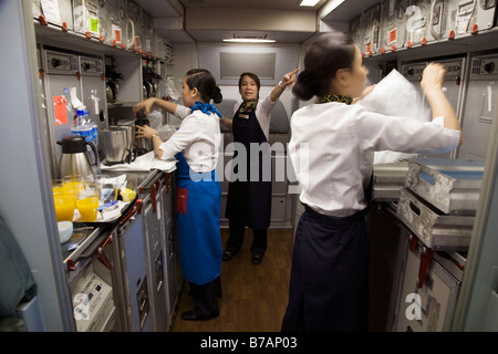 Flugbegleiter, Zubereitung von Mahlzeiten in der Küche auf einem Gulf Air Airbus A330 Flugzeug während des Fluges nach Bahrain aus London. (45) Stockfoto