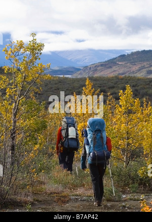 Zwei Alpinisten vorbei an herbstlichen Balsam-Pappeln (Populus Balsamifera), in der Nähe von Donjek Gletscher, St. Elias Mountains in Zeitmessung Stockfoto