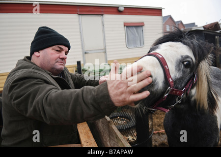 Irischer Reisender neigt dazu, sein Pferd vor einem Anhänger Wohnwagen Stockfoto