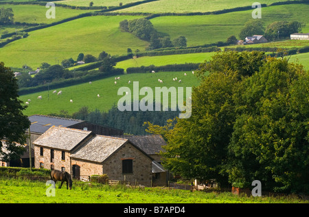 Auf Ackerland und Landschaft in Arlington in der Nähe von Barnstaple in North Devon England UK Stockfoto