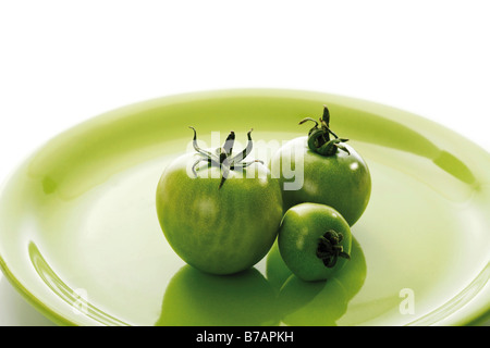 Grüne Ranke Tomaten auf einem Teller Stockfoto