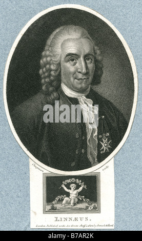 Carl Linnaeus (Latinized als Carolus Linnaeus, auch nach seiner Veredelung als Carl von Linné (Help·info), Mai 23 [O.S Mai bekannt Stockfoto