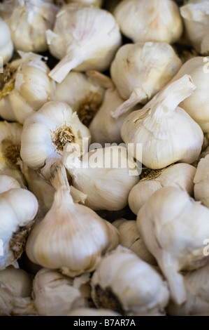 Lose Knoblauch Stockfoto