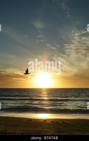 Sommer Sonnenuntergang über Glenelg Beach, Adelaide, South Australia. Stockfoto