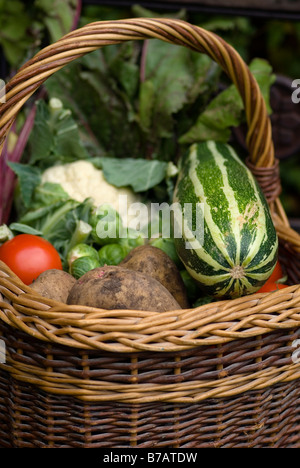 WEIDENKORB MIT KNOCHENMARK TOMATEN KARTOFFELN BLUMENKOHL ROSENKOHL GEMÜSE Stockfoto