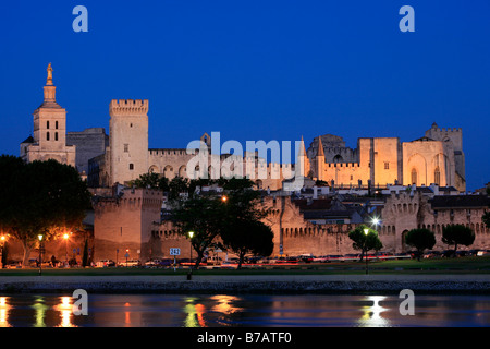 Panoramablick über die Rhone am Papstpalast und die mittelalterliche Stadt Avignon (Vaucluse), Frankreich Stockfoto