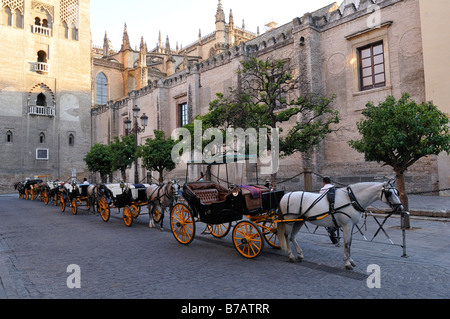 Ross und Wagen auf Straße, Sevilla, Spanien Stockfoto