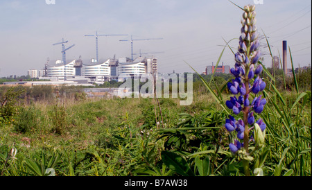 Die neue Queen Elizabeth Hospital, Edgbaston, Birmingham im Bau von Brachland. Stockfoto