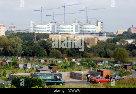 Die neue Queen Elizabeth Hospital, Edgbaston, Birmingham im Bau. Dieser Ansicht zeigen Kleingärten Vordergrund. Stockfoto