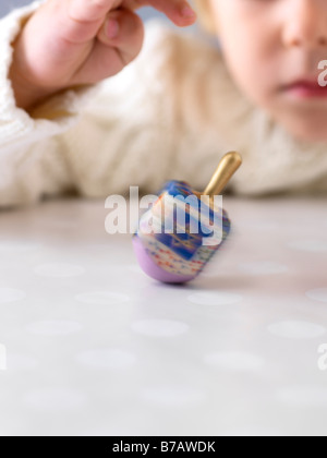 Junge Spinnen Dreidel Stockfoto