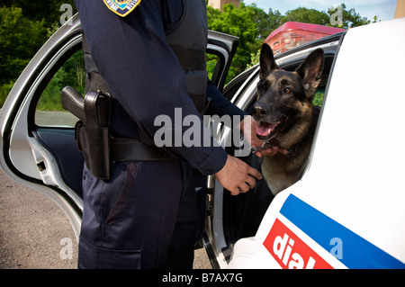 Polizeihund mit Officer Stockfoto