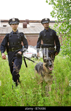 Polizisten suchen Feld mit Polizeihund Stockfoto