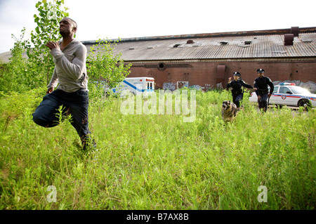 Polizisten und Polizeihund jagt Verdächtigen durch Feld Stockfoto