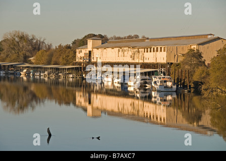 Bootshafen auf dem Sacramento River in der Nähe von State Highway 160 gegenüber Locke, Kalifornien. Stockfoto