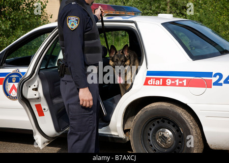 Polizeihund mit Officer Stockfoto