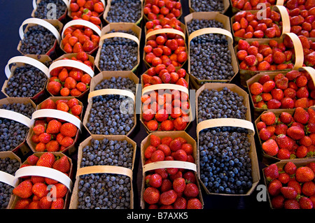 Heidelbeeren und Erdbeeren am Markt, Montreal, Quebec, Kanada Stockfoto