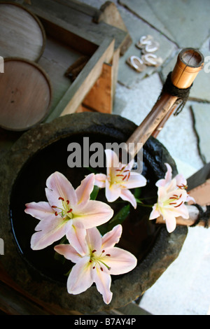 Lilien im Wasser, mit zwei Paaren von traditionelle japanische Sandalen im Hintergrund. Stockfoto