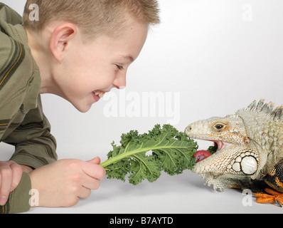 kleiner Junge lachend und Fütterung ein grünes Blatt zu großen Hunger Haustier Reptilien Stockfoto