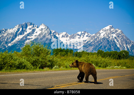 Grand Teton Berge, Wyoming, USA Stockfoto